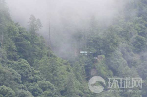 ��ӡ߅����ӡ܊���վ���[��ԭʼɭ���