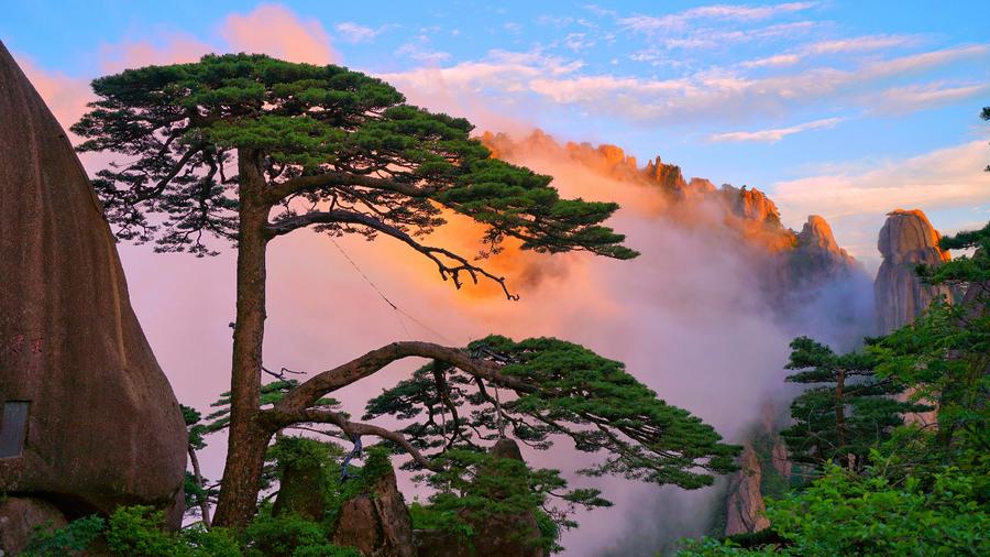 雨后黃山雨后放晴：云海、霞光、瀑布入畫來