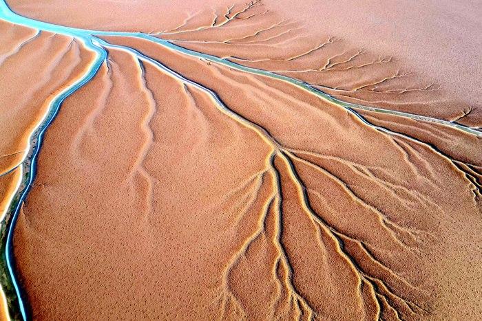 山東東營：黃河入?？诂F(xiàn)“潮汐樹”景觀