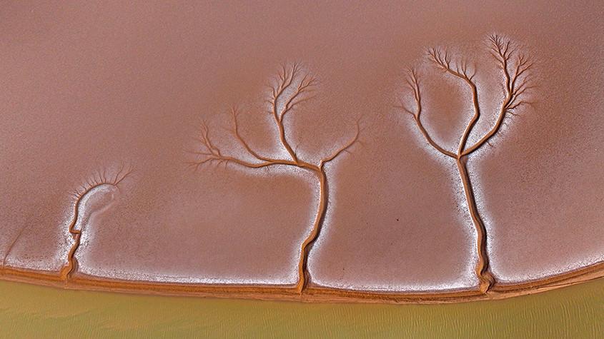 黃河入?？跐竦噩F(xiàn)“潮汐樹”景觀