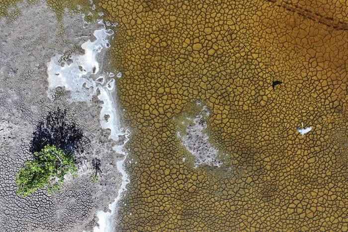 美國佛州缺少降雨導(dǎo)致大面積土地龜裂