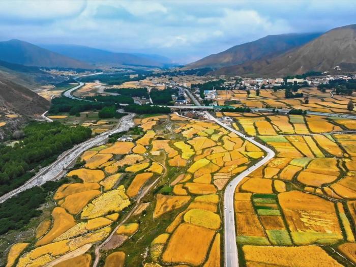 立秋時(shí)節(jié)高原青?！柏S景”初現(xiàn)