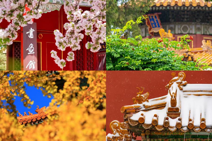 百歲快樂！一組圖領略故宮四季流轉之美