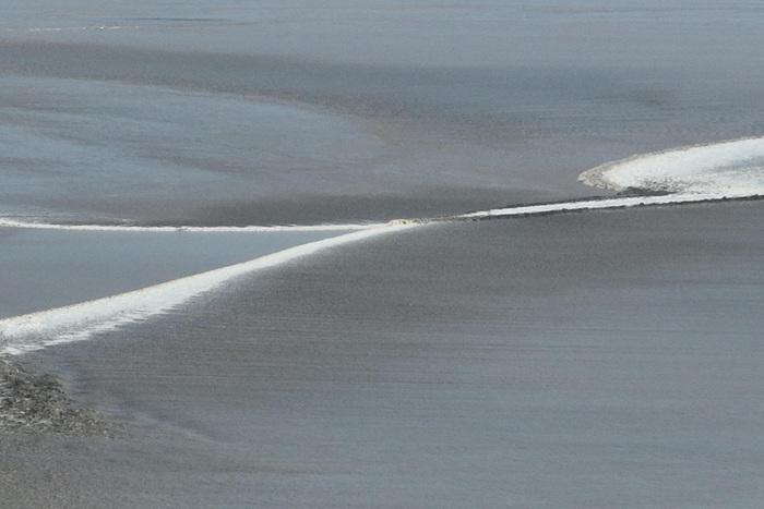 浙江嘉興：錢塘江大潮形態(tài)多變分外壯觀