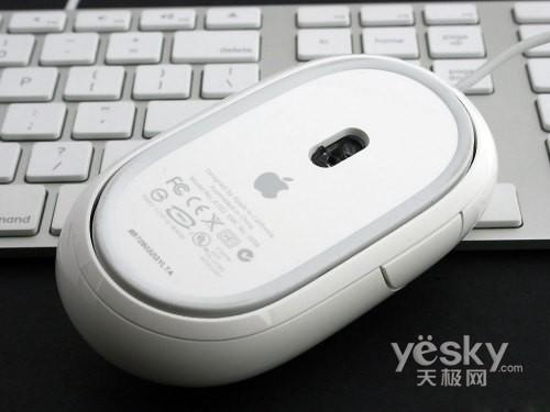 Vista�Ԝy5.7�����¿�24��Apple iMac�u�y