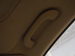 ��(gu��)��(n��i)��ÿ����nϵ܇(ch��)���w�(y��n)Forte�����