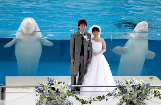 �M�D��һ���׺��������˳䮔(d��ng)���ɰ���