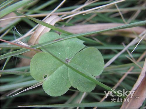 ���������Ҹ� ������H���Ô�(sh��)�a���C���]