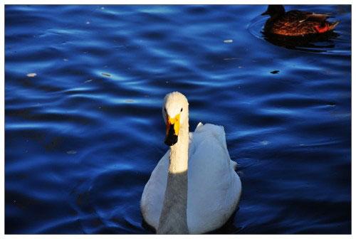 ���ܔ�(sh��)�a���C(j��)�Ј� ���M(f��i)���P(gu��n)ע��ǰʮ��C(j��)