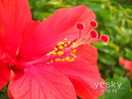 ����߀��Ϧꖼt ʮһ�����������C(j��)�xُ?f��)��]