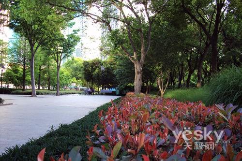 ����߀��Ϧꖼt ʮһ�����������C�xُ?f��)��]