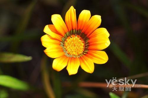 ʮһ���Ό�(zhu��n)�I(y��)֮�x �Ј�(ch��ng)���T(m��n)�η����C(j��)���]