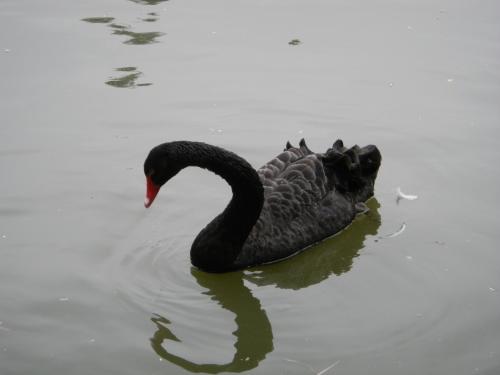 �c(di��n)���鿴ԭ�D