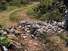 G 500領(lǐng)銜——試駕奔馳全系SUV車型 汽車之家 G 500領(lǐng)銜——試駕奔馳全系SUV車型 汽車之家