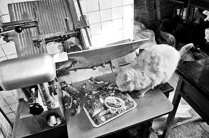 �и�õ���Ƭ�������ϵİ�ɫ�����؈���f����������Ƭ��ؓ(f��)؟(z��)�и���Ƭ��Ů�Ӵ󲿷֕r(sh��)��ҕ����Ҋ ���M�DƬ ����(b��o)ӛ�� ���� �z