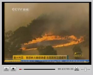 �c���^��ҕ�l