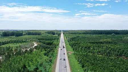 只此青綠，中國“雙碳”雄心背后的山河夢 