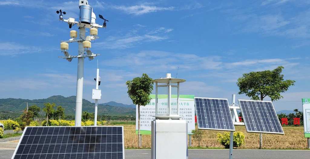 探訪在種業(yè)科研和創(chuàng)業(yè)熱土中成長的三亞“南繁硅谷”<p>晚秋的三亞，午間陽光依然炙熱。在崖州區(qū)壩頭南繁基地，由太陽能電池板提供能源，生態(tài)監(jiān)測系統(tǒng)、物聯(lián)網(wǎng)蟲情信息采集系統(tǒng)不間斷工作。<p>