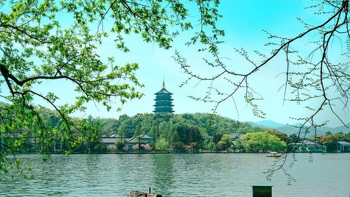 江山如此多嬌 | 西湖美景，八月天吶