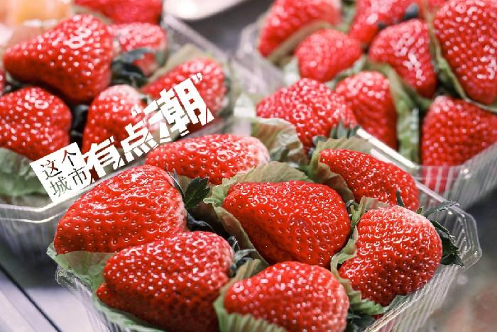 丹東：這一口鮮甜，開啟冬日“莓”好時光