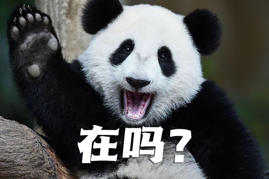 【世界微笑日特刊】嘿嘿，今天你笑了嗎？