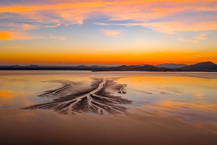 絢麗朝霞映照錢塘江“潮汐樹(shù)”
